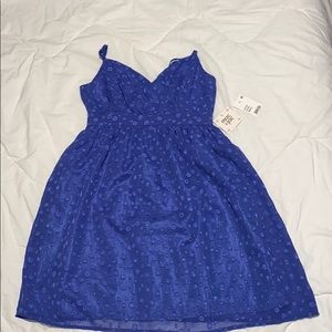 Blue mac& jack dress.
